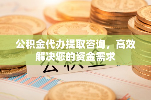 阿拉善左旗公积金代办提取咨询，高效解决您的资金需求