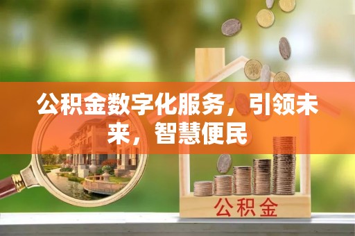 阿拉善左旗公积金数字化服务，引领未来，智慧便民