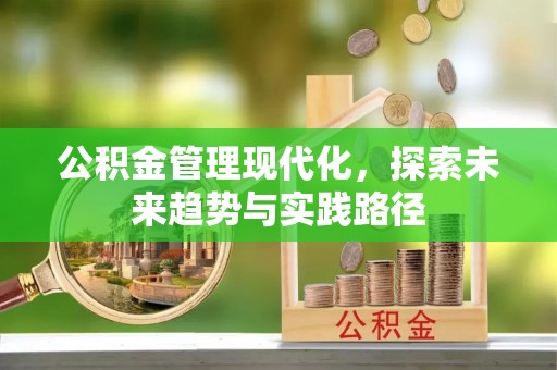 阿拉善左旗公积金管理现代化，探索未来趋势与实践路径