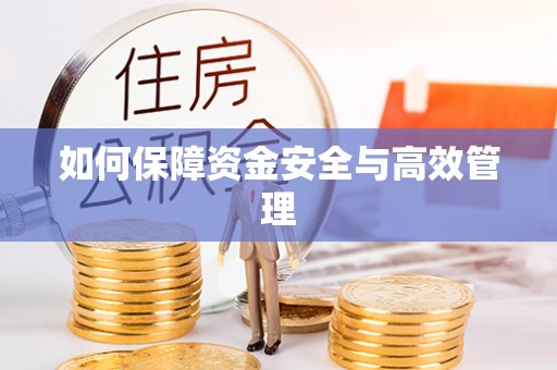 阿拉善左旗如何保障资金安全与高效管理