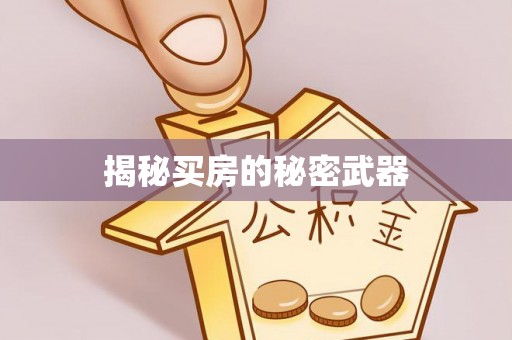 阿拉善左旗揭秘买房的秘密武器