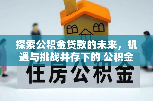 阿拉善左旗探索公积金贷款的未来，机遇与挑战并存下的 公积金贷款风险防控