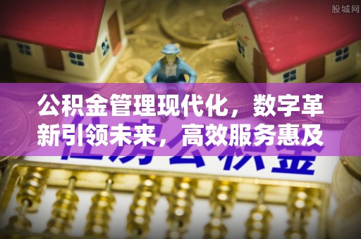 阿拉善左旗公积金管理现代化，数字革新引领未来，高效服务惠及民生