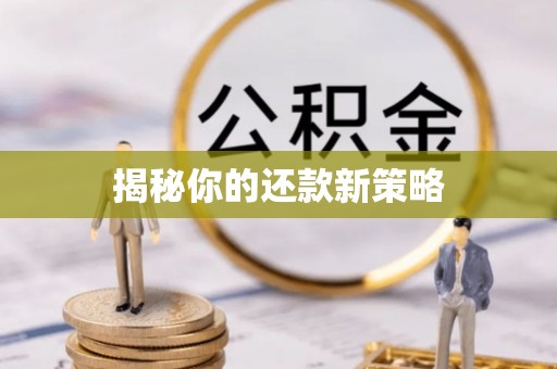 阿拉善左旗揭秘你的还款新策略