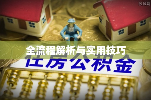 阿拉善左旗全流程解析与实用技巧