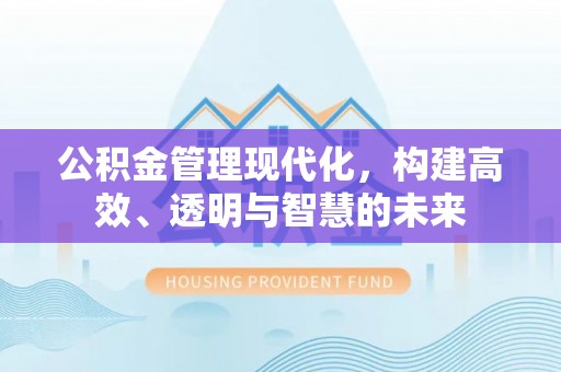 阿拉善左旗公积金管理现代化，构建高效、透明与智慧的未来
