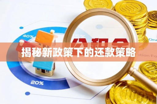 阿拉善左旗揭秘新政策下的还款策略