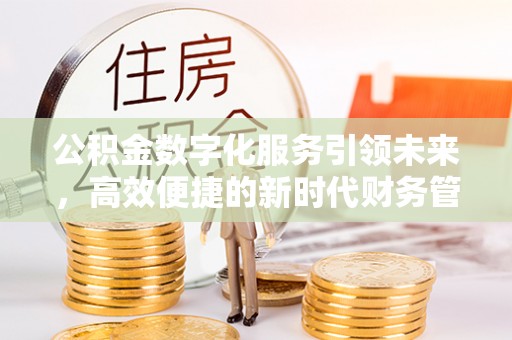 阿拉善左旗公积金数字化服务引领未来，高效便捷的新时代财务管理