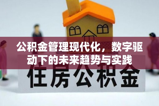 阿拉善左旗公积金管理现代化，数字驱动下的未来趋势与实践