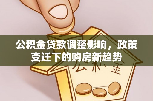 阿拉善左旗公积金贷款调整影响，政策变迁下的购房新趋势