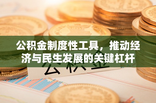 阿拉善左旗公积金制度性工具，推动经济与民生发展的关键杠杆