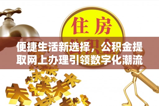 阿拉善左旗便捷生活新选择，公积金提取网上办理引领数字化潮流