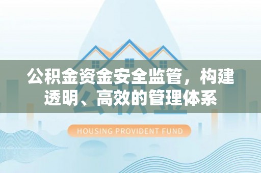 阿拉善左旗公积金资金安全监管，构建透明、高效的管理体系