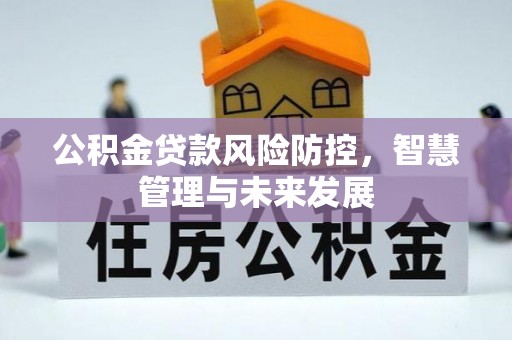 阿拉善左旗公积金贷款风险防控，智慧管理与未来发展