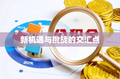 阿拉善左旗新机遇与挑战的交汇点