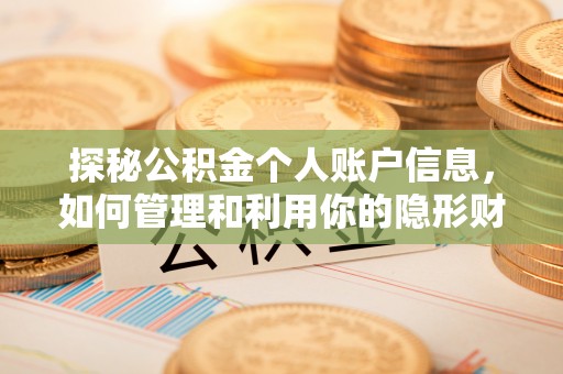 阿拉善左旗探秘公积金个人账户信息，如何管理和利用你的隐形财富