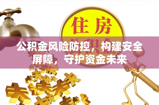 阿拉善左旗公积金风险防控，构建安全屏障，守护资金未来