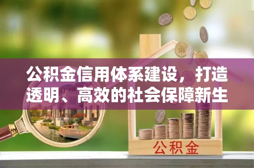 阿拉善左旗公积金信用体系建设，打造透明、高效的社会保障新生态