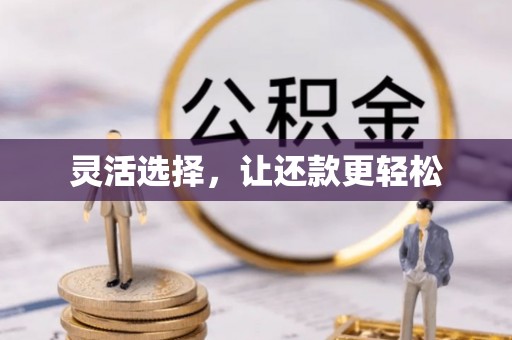 阿拉善左旗灵活选择，让还款更轻松
