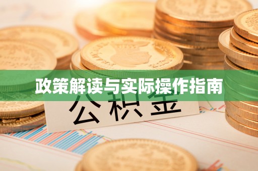 阿拉善左旗政策解读与实际操作指南