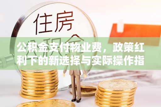 阿拉善左旗公积金支付物业费，政策红利下的新选择与实际操作指南