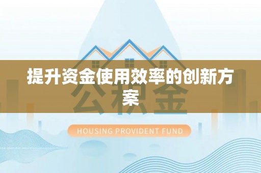 阿拉善左旗提升资金使用效率的创新方案