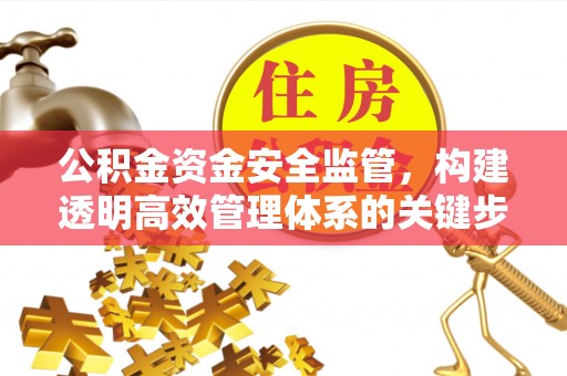 阿拉善左旗公积金资金安全监管，构建透明高效管理体系的关键步骤
