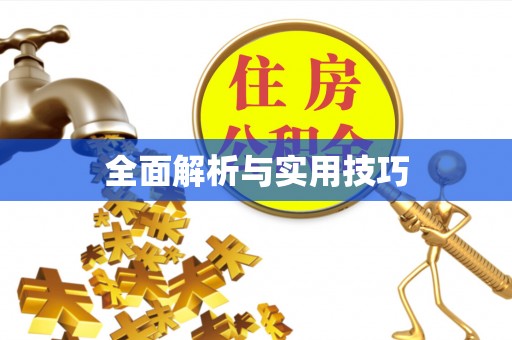 阿拉善左旗全面解析与实用技巧