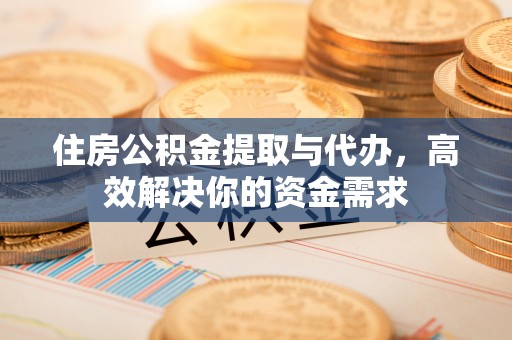 阿拉善左旗住房公积金提取与代办，高效解决你的资金需求