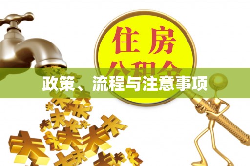 阿拉善左旗政策、流程与注意事项