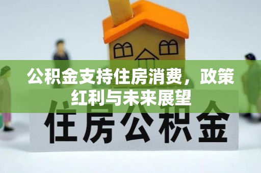 阿拉善左旗公积金支持住房消费，政策红利与未来展望