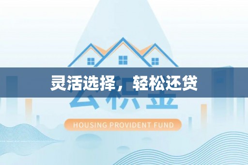 阿拉善左旗灵活选择，轻松还贷