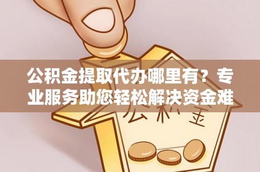 阿拉善左旗公积金提取代办哪里有？专业服务助您轻松解决资金难题