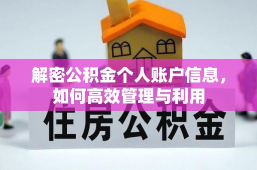 阿拉善左旗解密公积金个人账户信息，如何高效管理与利用