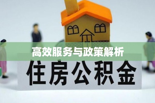 阿拉善左旗高效服务与政策解析