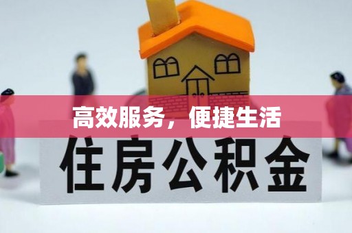 阿拉善左旗高效服务，便捷生活