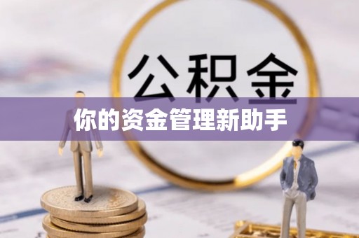 阿拉善左旗你的资金管理新助手