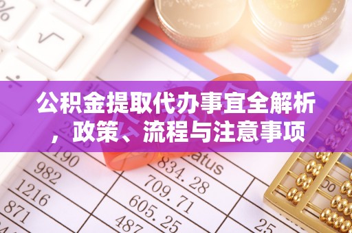 阿拉善左旗公积金提取代办事宜全解析，政策、流程与注意事项