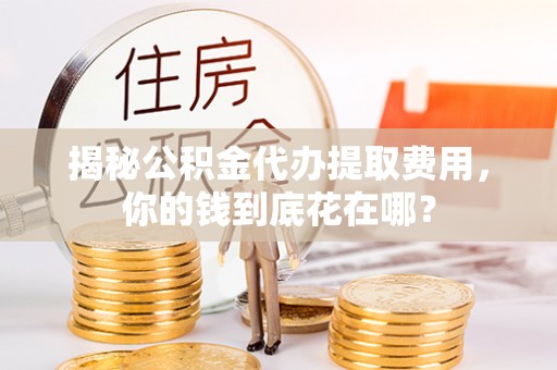 阿拉善左旗揭秘公积金代办提取费用，你的钱到底花在哪？