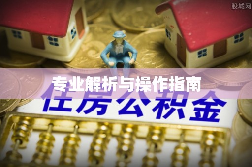 阿拉善左旗专业解析与操作指南