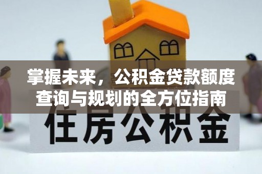 阿拉善左旗掌握未来，公积金贷款额度查询与规划的全方位指南