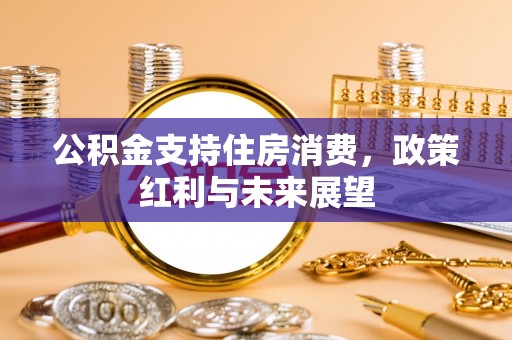阿拉善左旗公积金支持住房消费，政策红利与未来展望