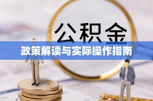 阿拉善左旗政策解读与实际操作指南