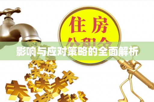 阿拉善左旗影响与应对策略的全面解析