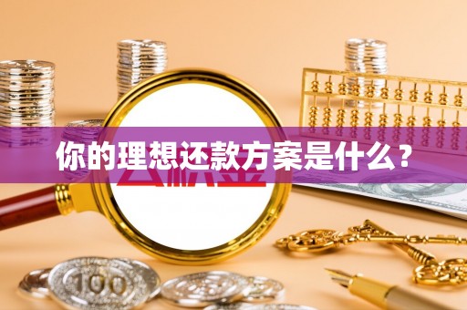 阿拉善左旗你的理想还款方案是什么？