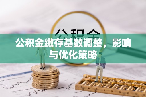 阿拉善左旗公积金缴存基数调整，影响与优化策略