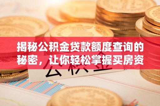 阿拉善左旗揭秘公积金贷款额度查询的秘密，让你轻松掌握买房资金规划