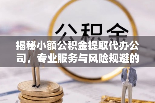阿拉善左旗揭秘小额公积金提取代办公司，专业服务与风险规避的平衡艺术