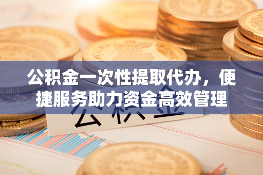 阿拉善左旗公积金一次性提取代办，便捷服务助力资金高效管理