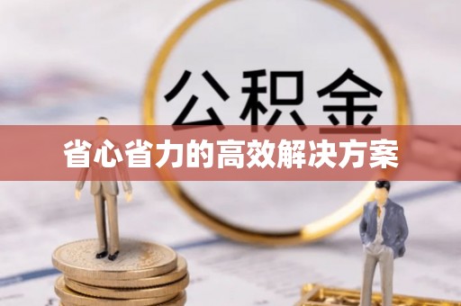 阿拉善左旗省心省力的高效解决方案